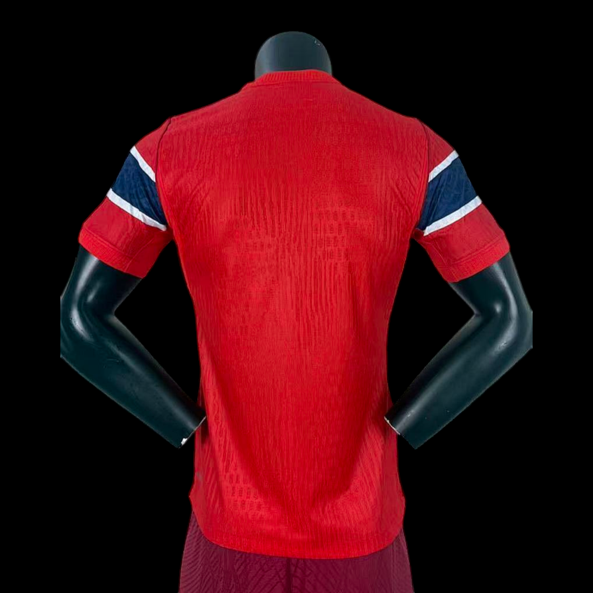 Norvège Maillot Domicile 26/27 Version Player