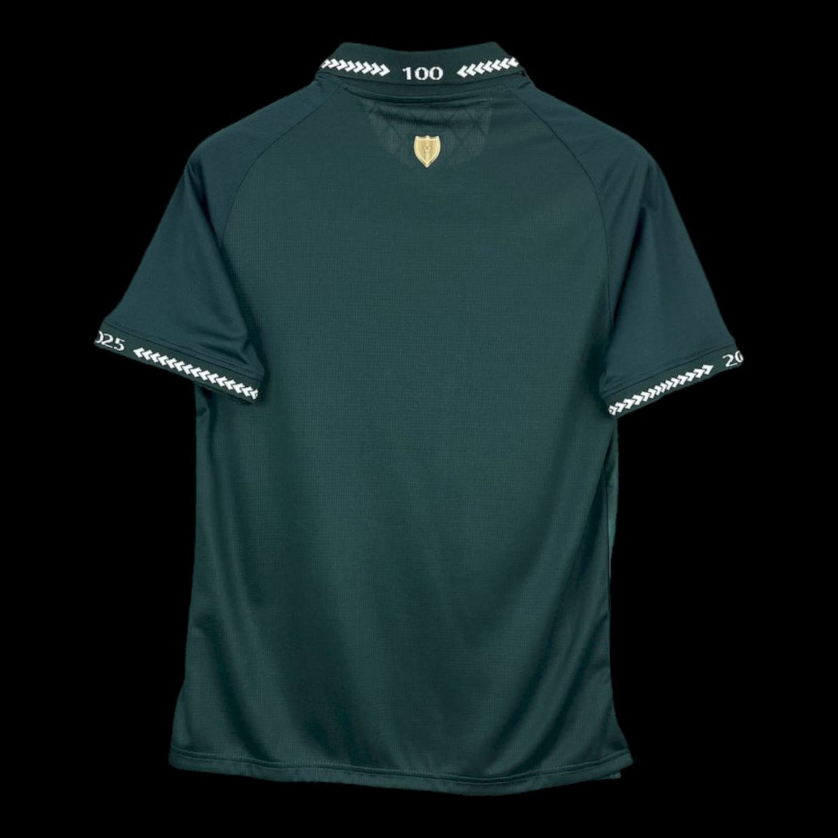 Bolivie Maillot Domicile 25/26