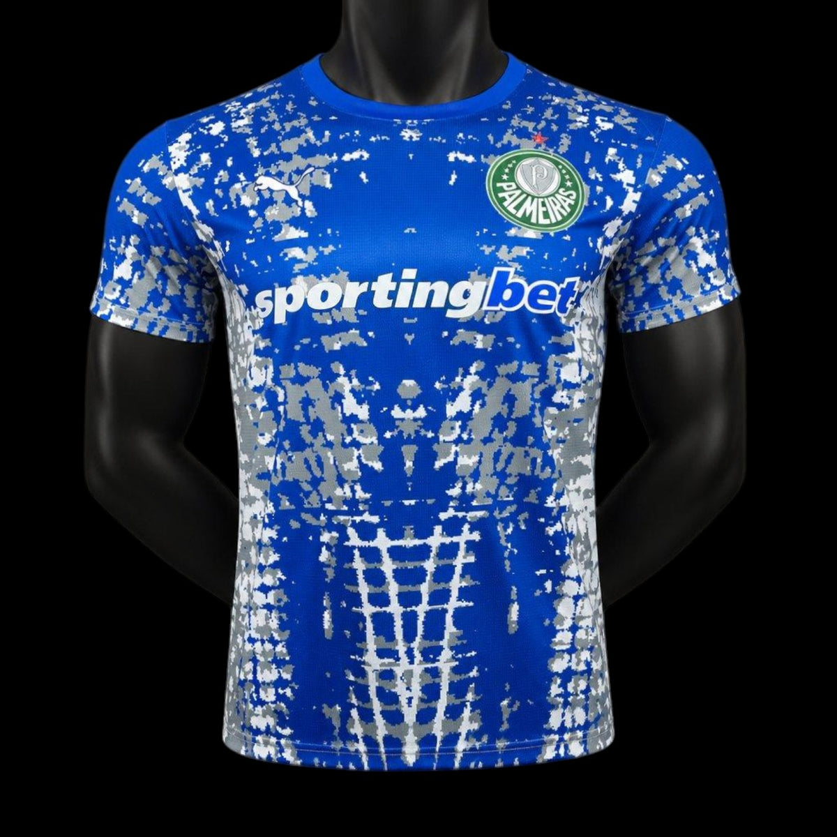 Palmeiras Maillot Gardien 25/26 Version Player