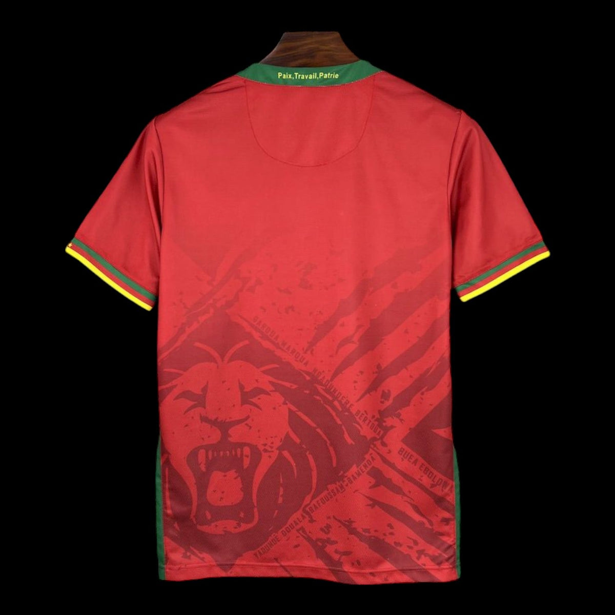 Cameroun Maillot Extérieur 25/26
