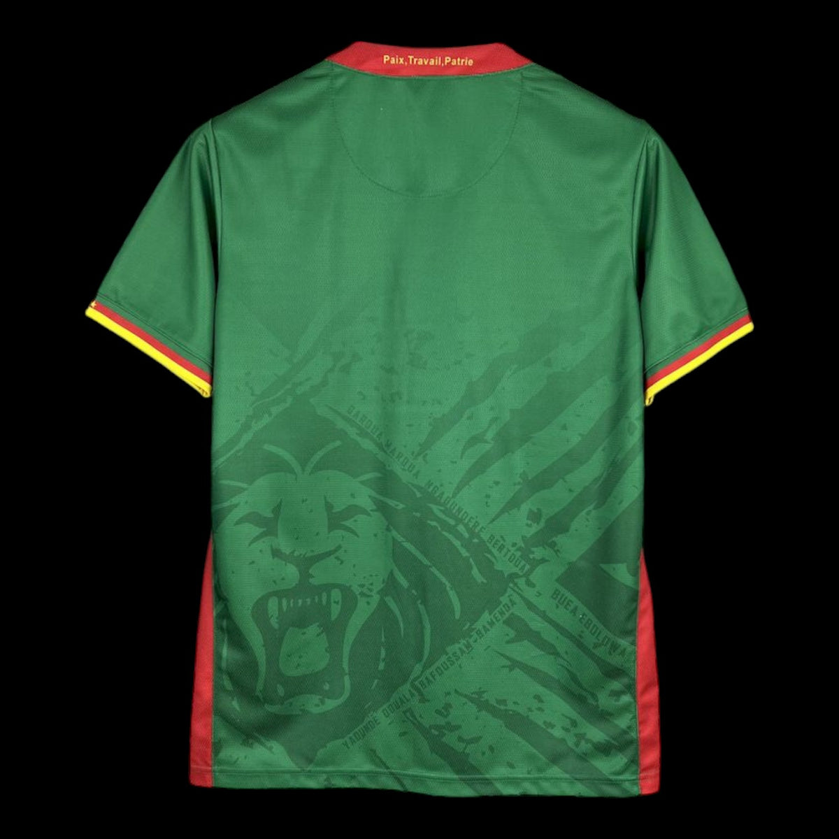 Cameroun Maillot Domicile 25/26