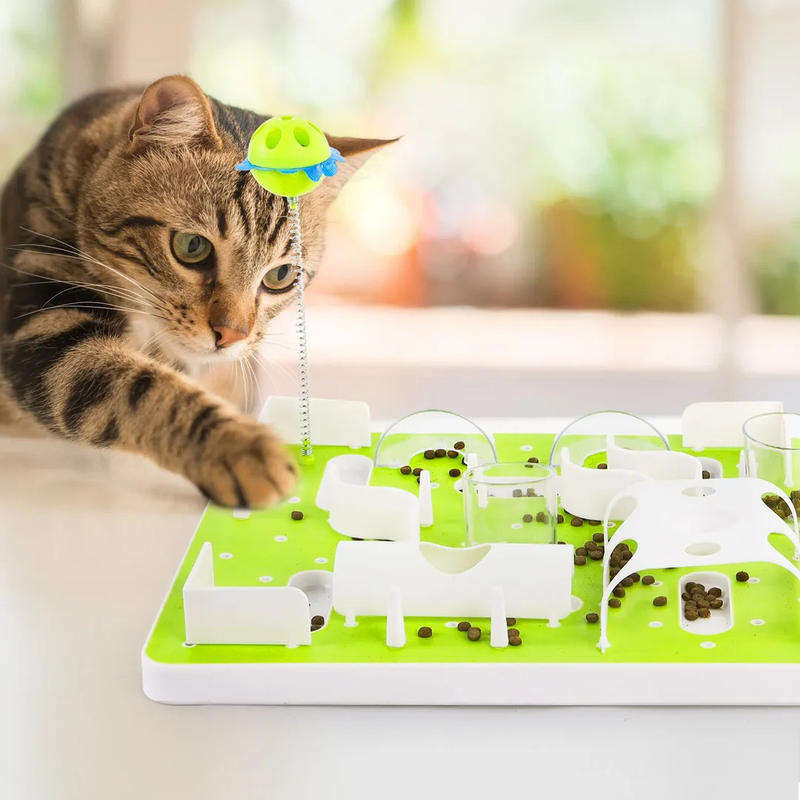 Plateau de stimulation pour chat