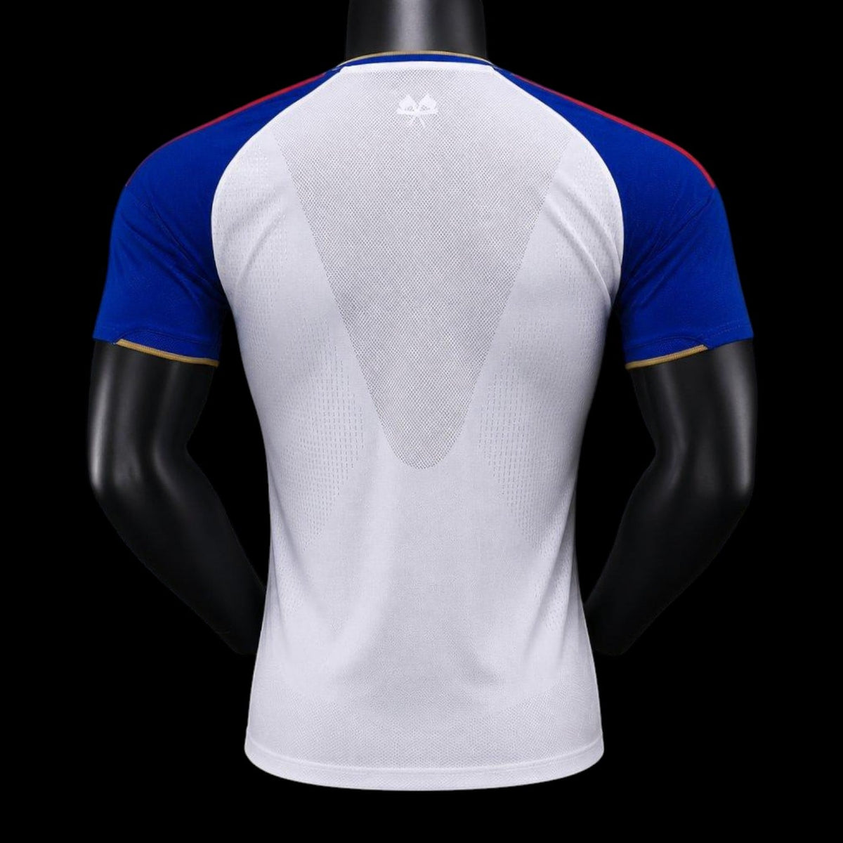 Lyon Maillot Domicile 26/27 Version Player