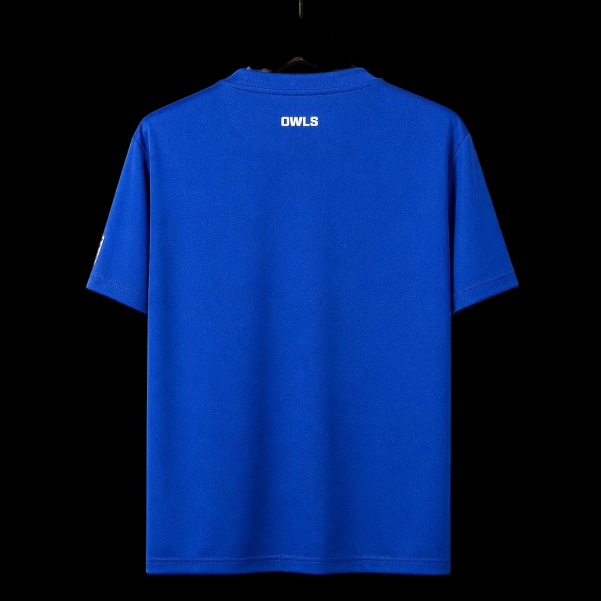 Sheffield Wednesday Maillot Gardien Domicile 26/27