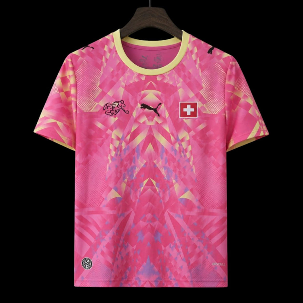 Suisse Maillot Gardien 26/27