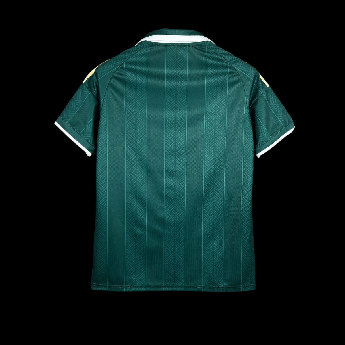 Afrique du Sud Maillot Extérieur 26/27